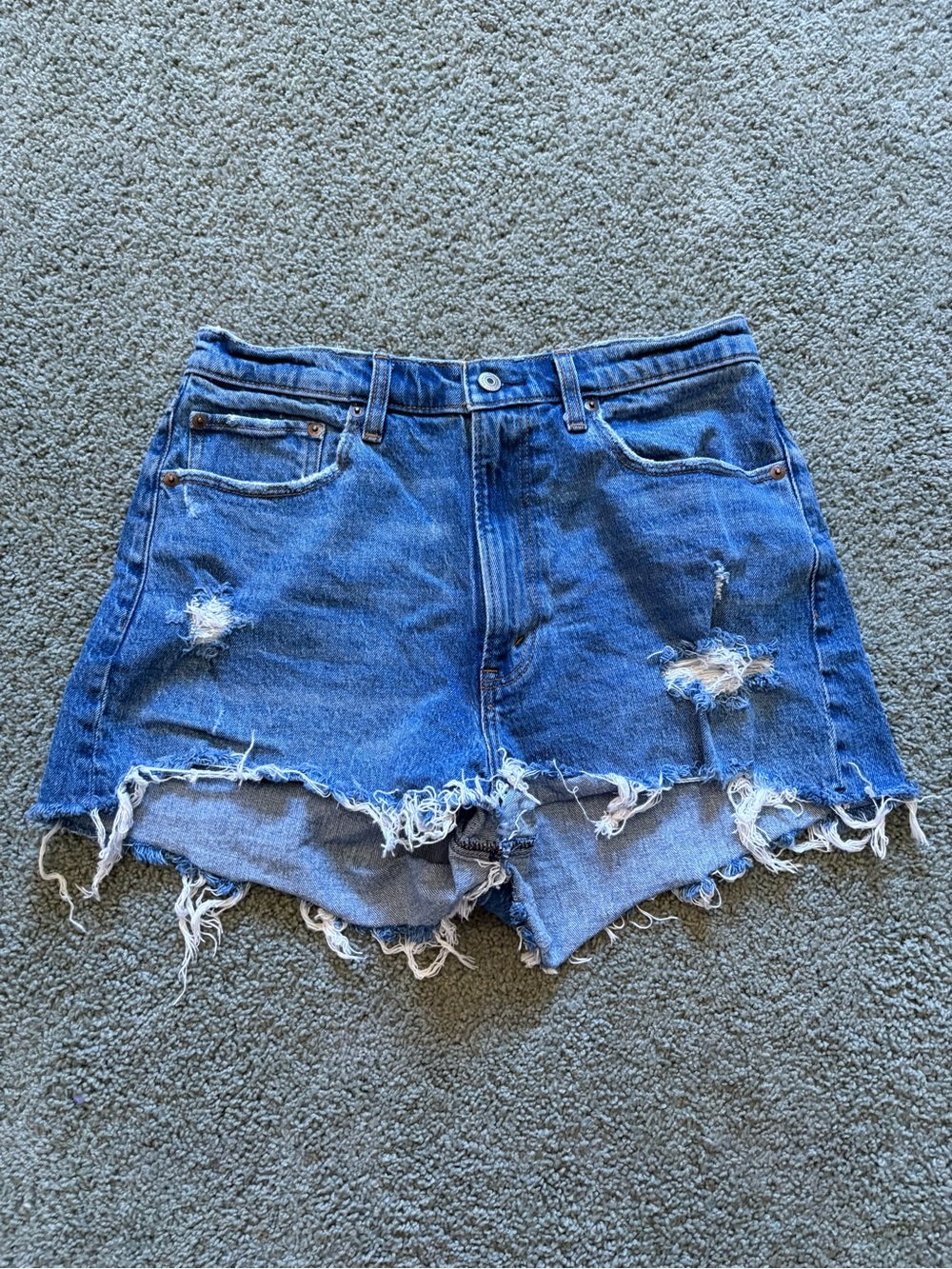 Abercrombie & Fitch Curve Love The Mom Short High Rise Size 30/10 Distressed